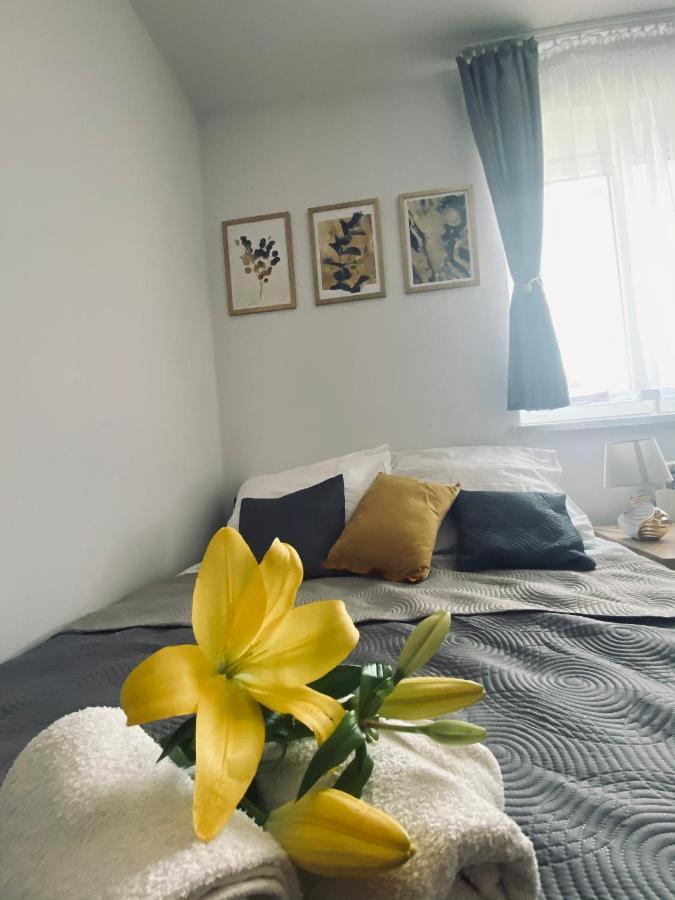 Apartamenty Majka Zator Εξωτερικό φωτογραφία