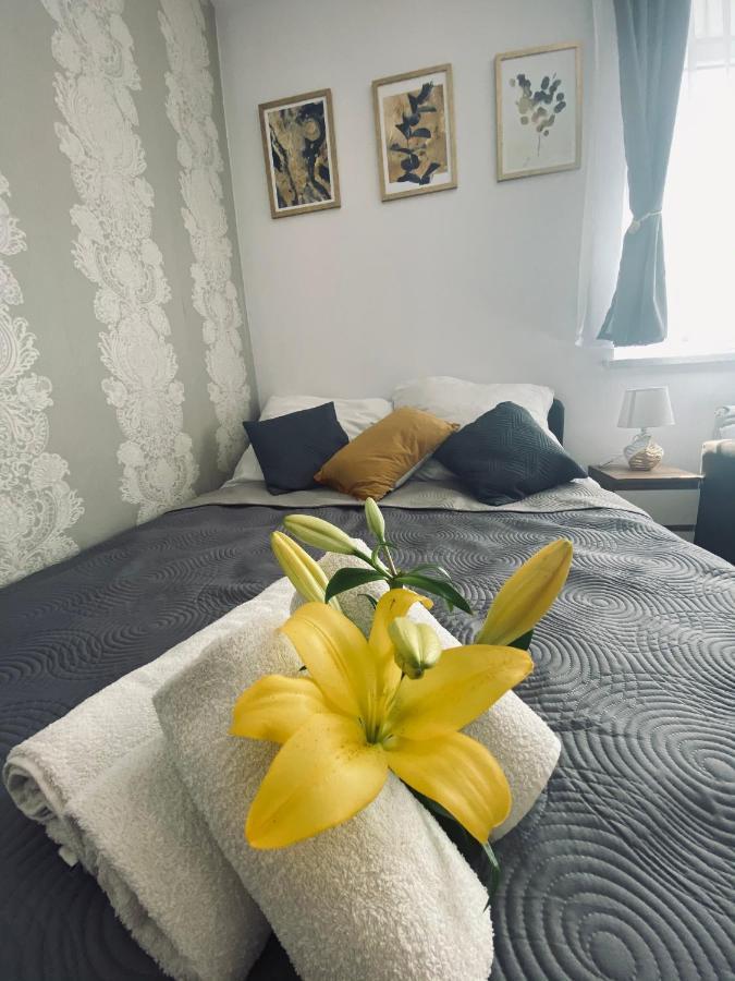 Apartamenty Majka Zator Εξωτερικό φωτογραφία